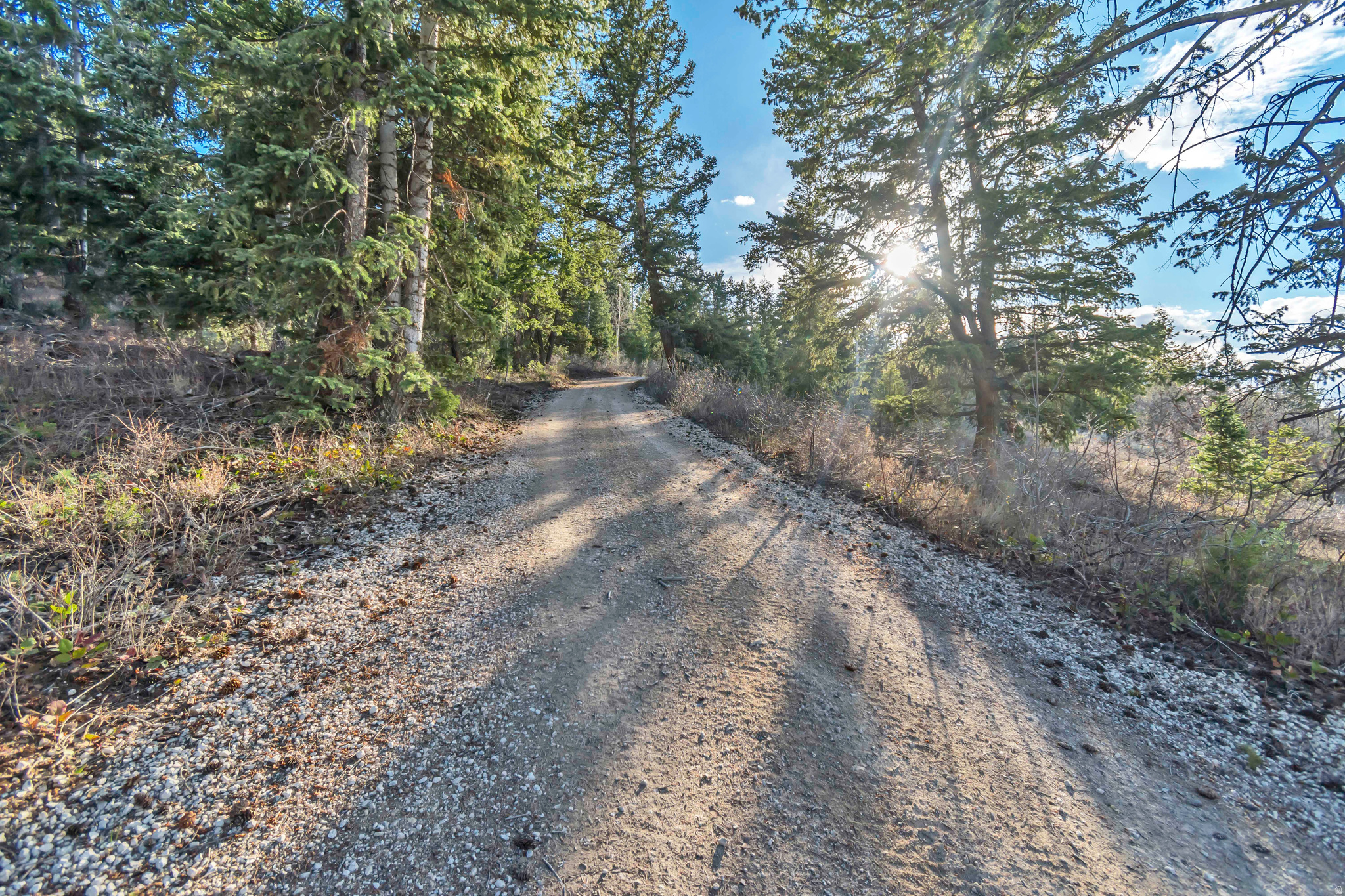 SOLDIER SUMMIT ESTATES - Residential