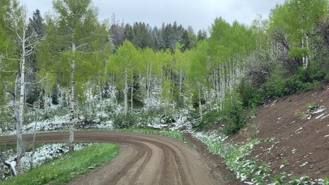 Tiny photo for 17029 S ALTA DR, Spanish Fork, UT 84660 (MLS # 2147396)