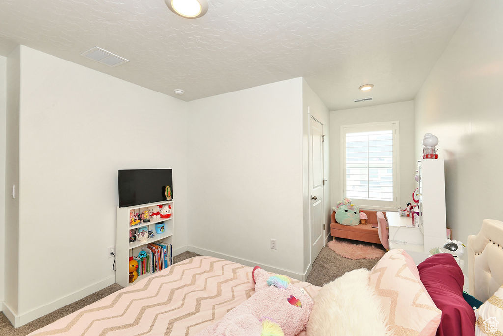 3888 S Silver Bank Dr #1367, Magna, Utah image 23