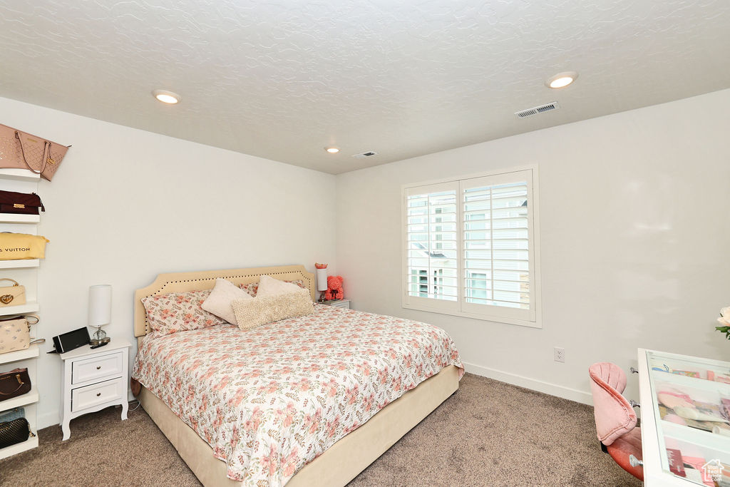 3888 S Silver Bank Dr #1367, Magna, Utah image 14