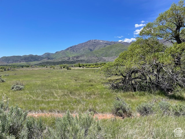 Land, New Harmony, Utah image 1