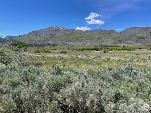 Land, New Harmony, Utah image 8