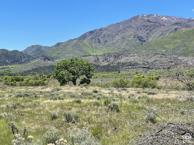 Land, New Harmony, Utah image 10