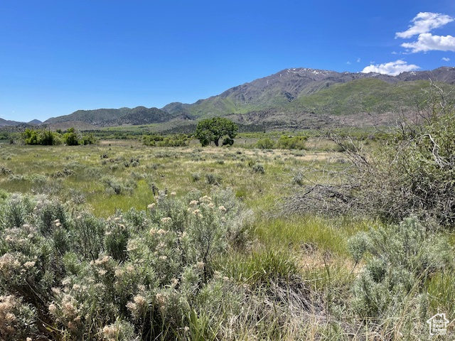 Land, New Harmony, Utah image 9