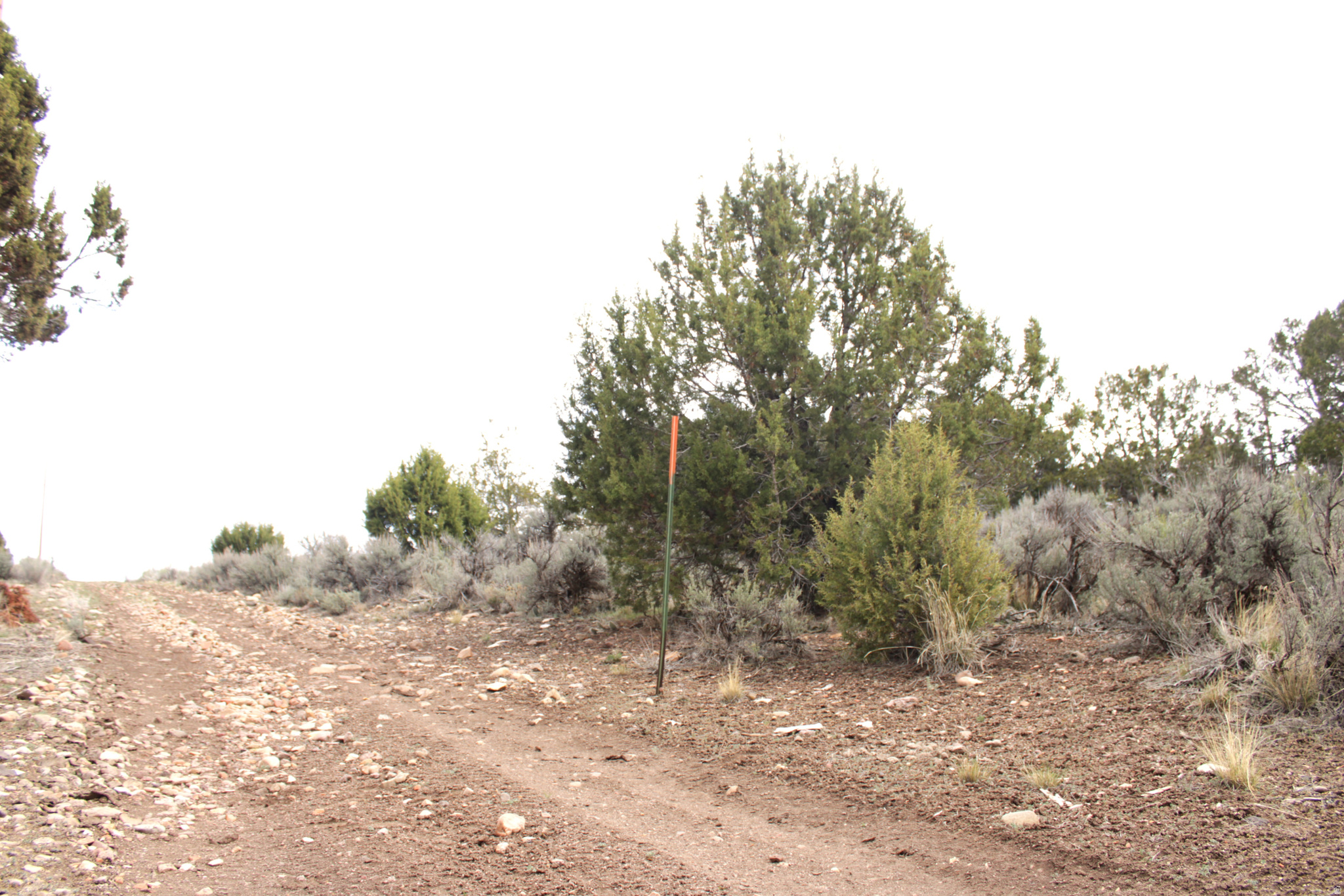 WESTRIDGE FARMS - Land