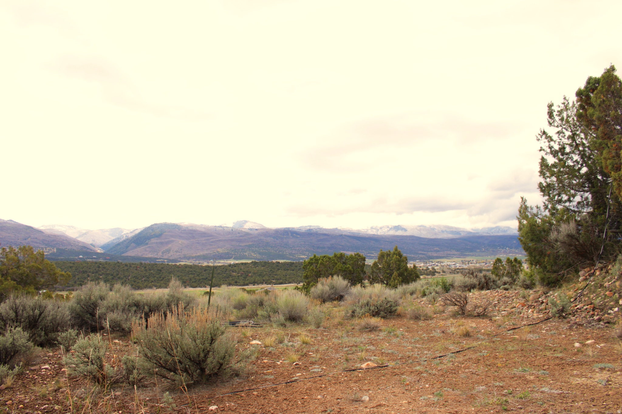 WESTRIDGE FARMS - Land