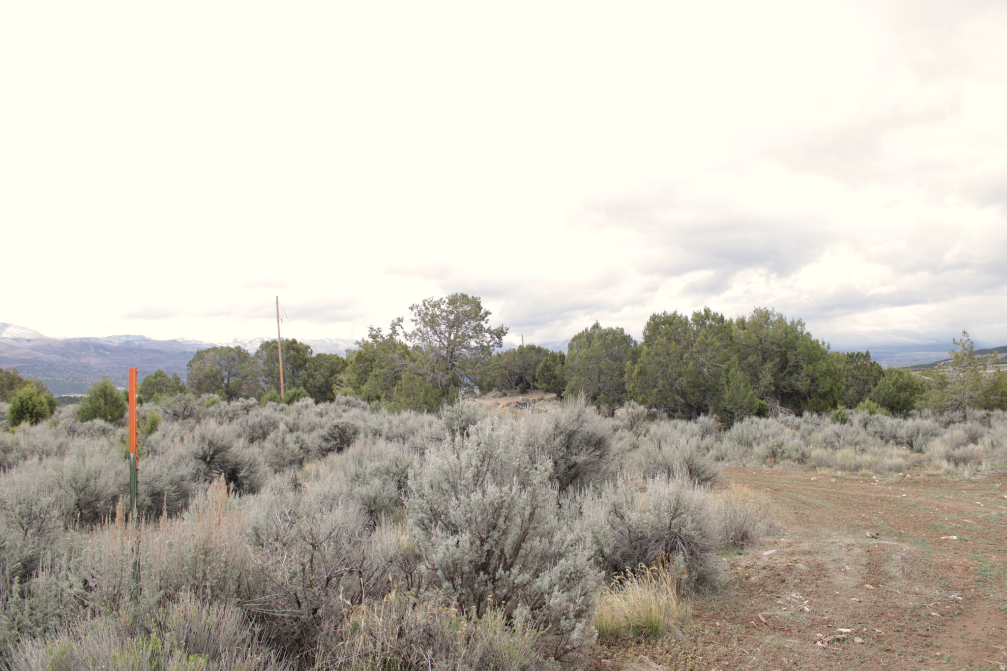 WESTRIDGE FARMS - Land