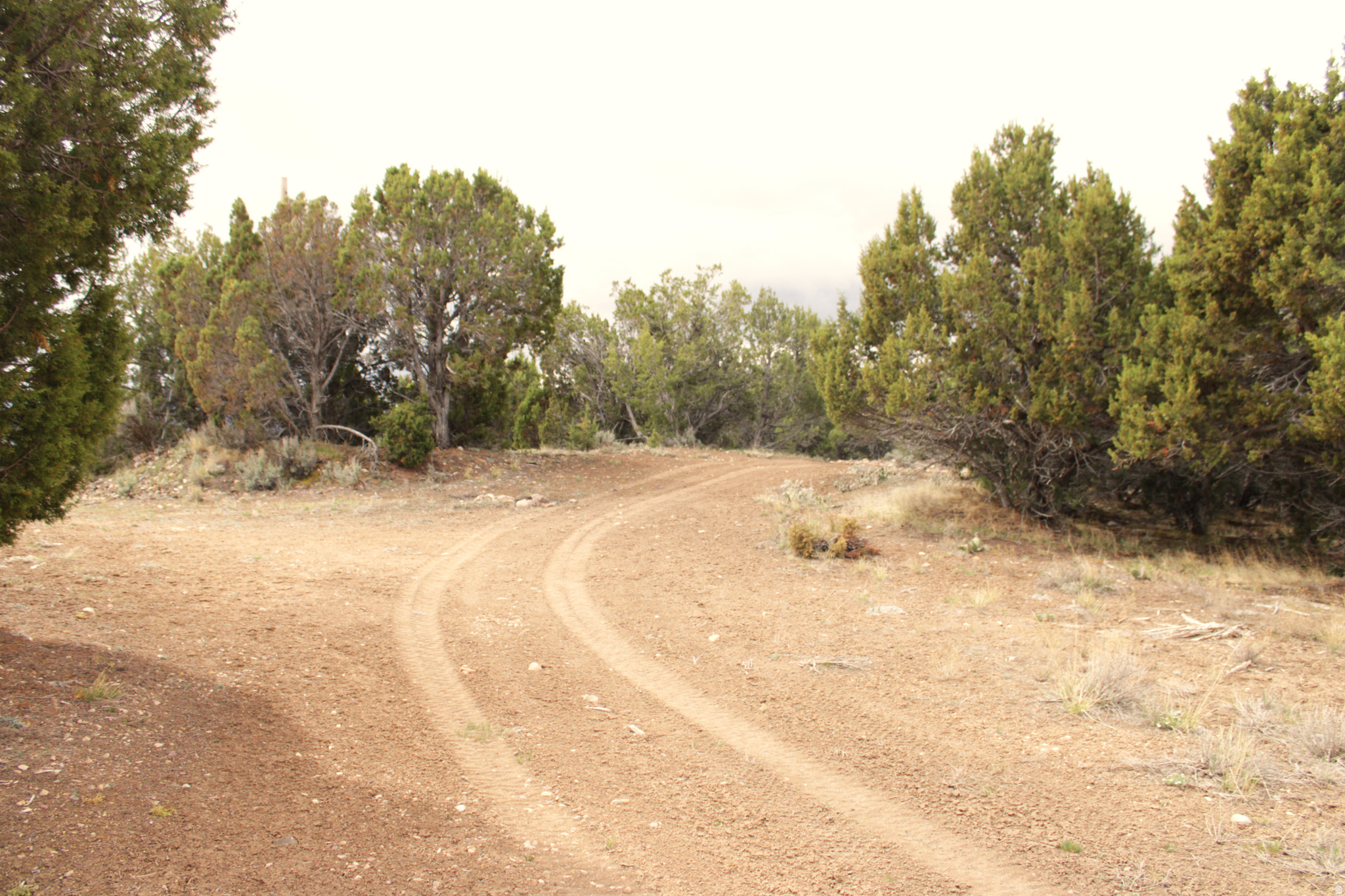 WESTRIDGE FARMS - Land