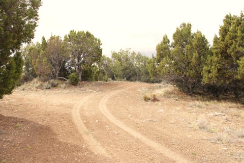 Vacant Land For Sale - Land<br/> Fairview, UT 84629