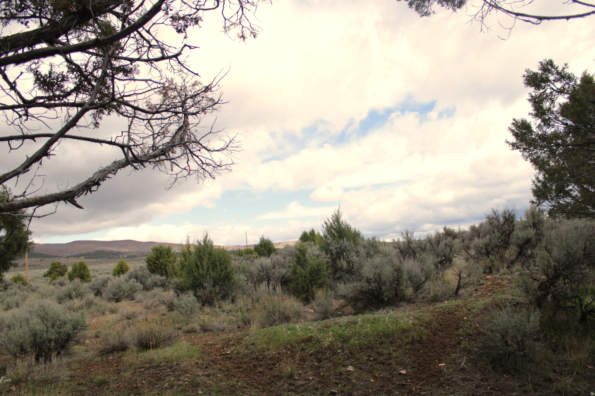 WESTRIDGE FARMS - Land