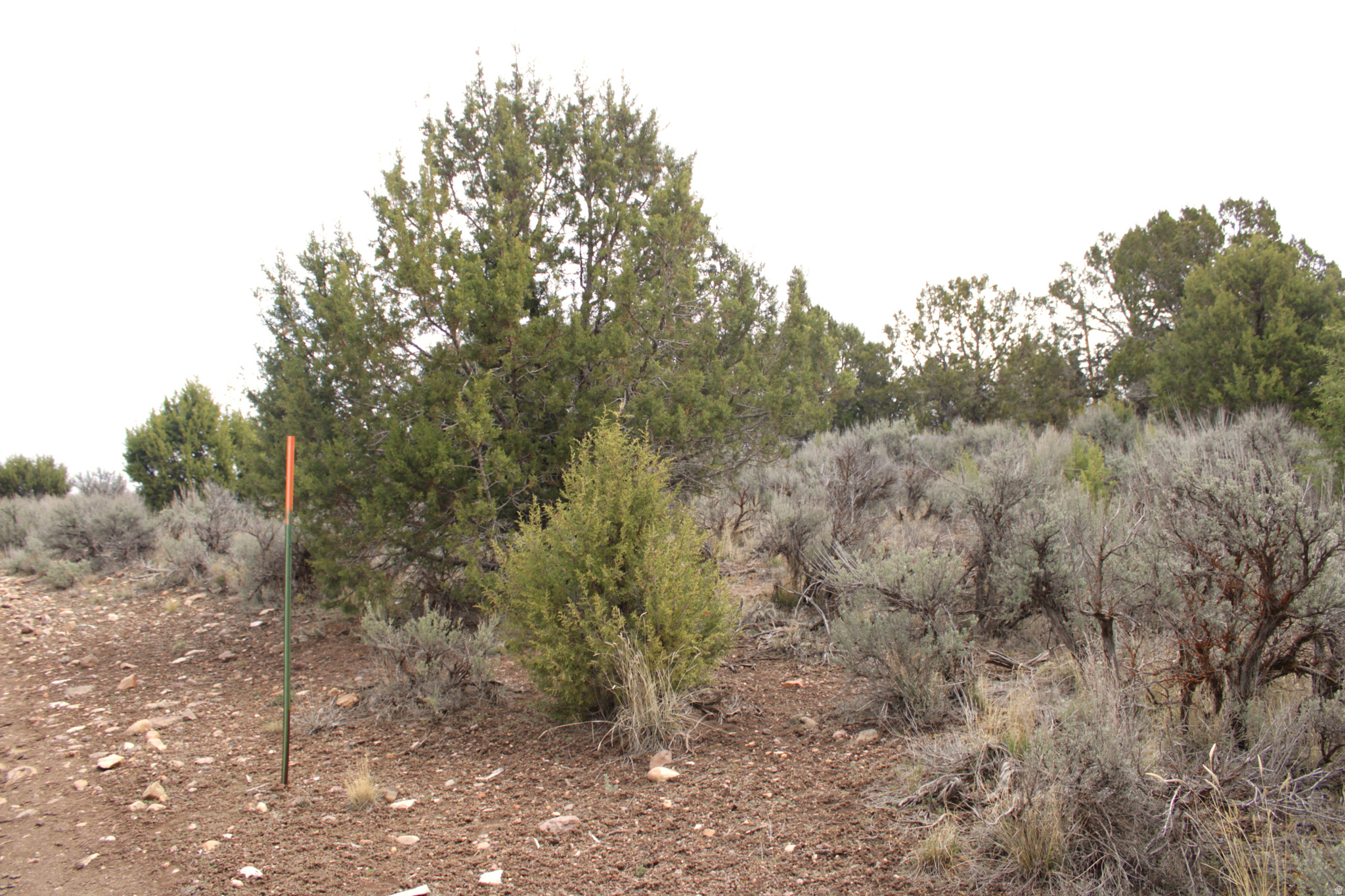 WESTRIDGE FARMS - Land