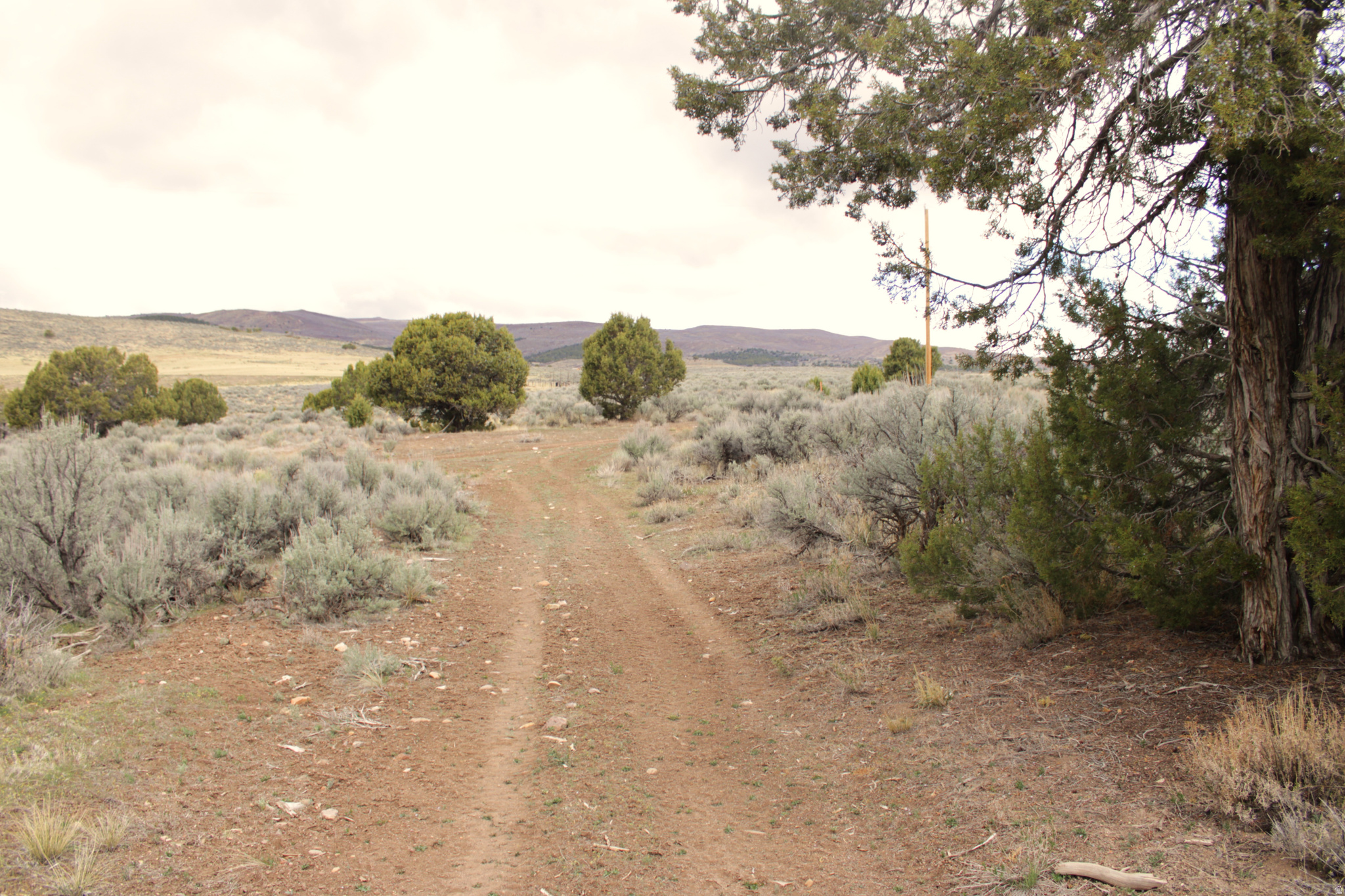 WESTRIDGE FARMS - Land