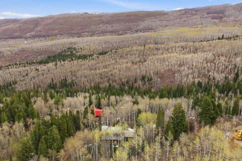 Tiny photo for 3191 S FORGET ME NOT LN #100, Heber City, UT 84032 (MLS # 2147671)