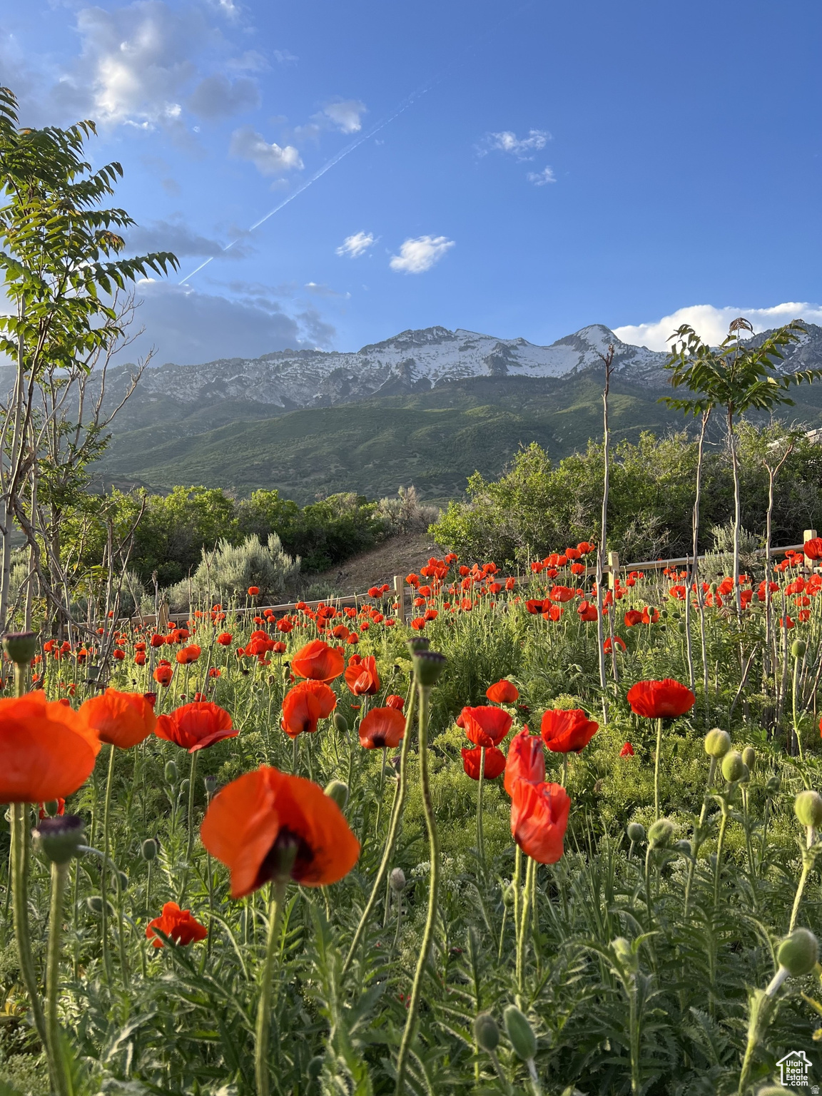 PLAT A, BOX ELDER SOUTH SUB - Land