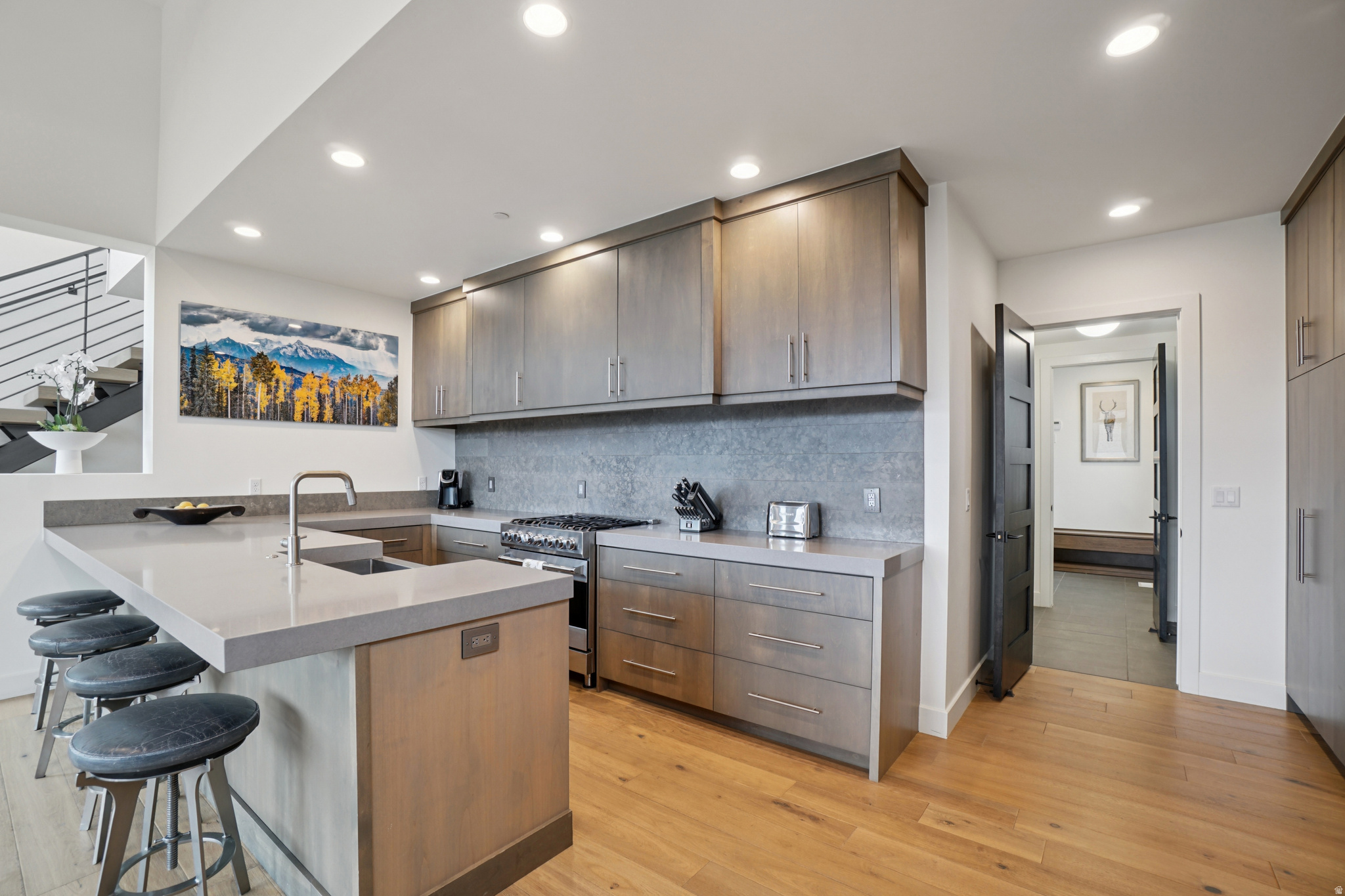 VILLAS AT PAINTED VALLEY - Residential