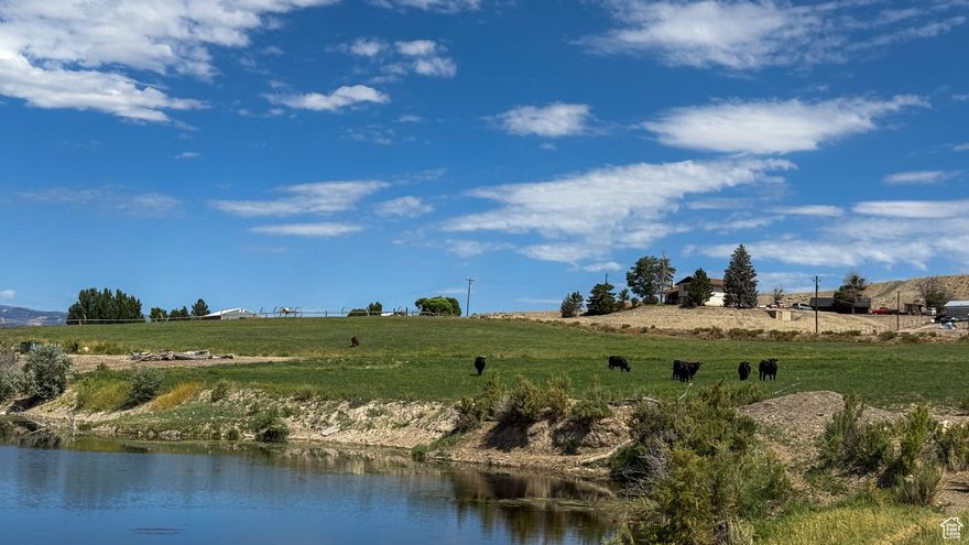 Turn-Key Farm Close to Town with Water Shares & Alfalfa Production Excellent opportunity to own a fully fenced, turn-key farm just minutes from town! This productive property features established alfalfa fields, pressurized irrigation, a tranquil pond, and functional corrals-perfect for raising livestock. Included are 30 shares of Price River Water Users water, as well as wheel lines and movers for easy irrigation. The land is ready for your dream home, offering both convenience and rural charm. Farm equipment, squeeze chute, and feeder are not included. No mineral rights conveyed with sale. Square footage figures are provided as a courtesy estimate only.  Buyer is advised to obtain an independent measurement.
