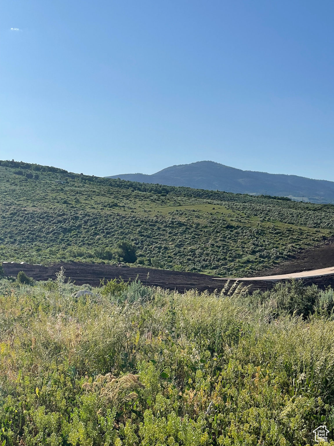 LONG RIDGE @ BEAR LAKE LLC - Land