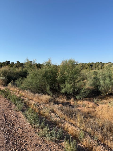 Vacant Land For Sale - Land<br/> Duchesne, UT 84021
