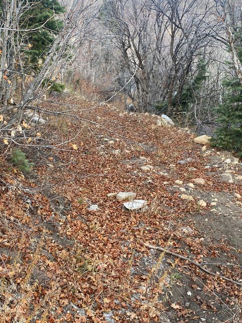 Tiny photo for 5946 E UPPER WHITMORE Dr N #99, Springville, UT 84663 (MLS # 2124506)