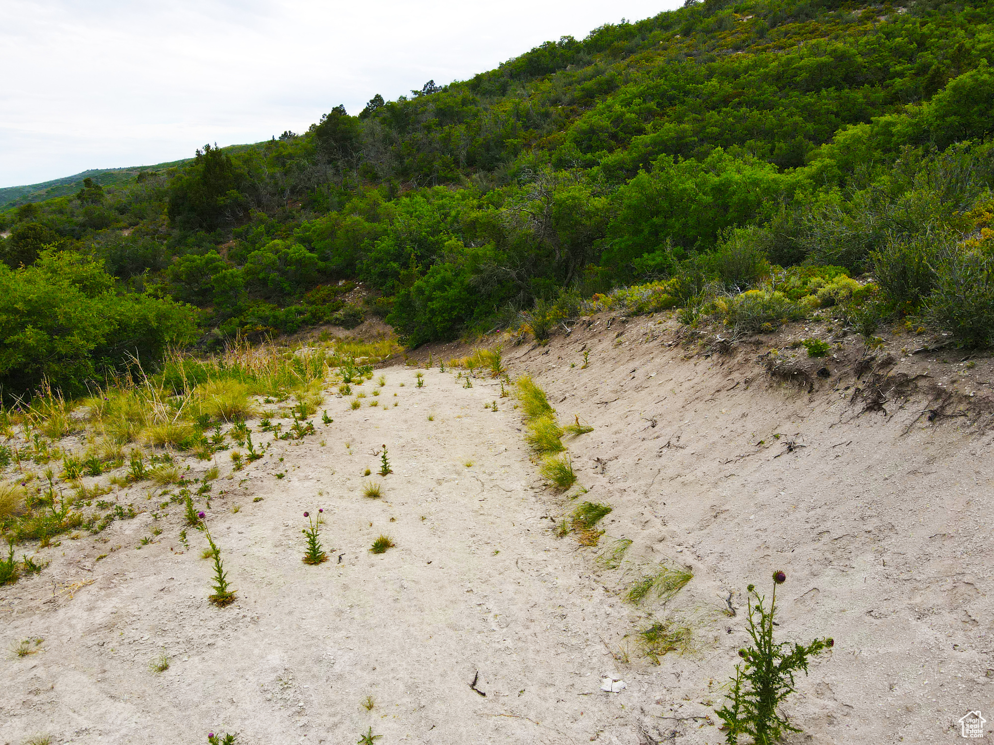 HIDEAWAY VALLEY PLAT D - Land