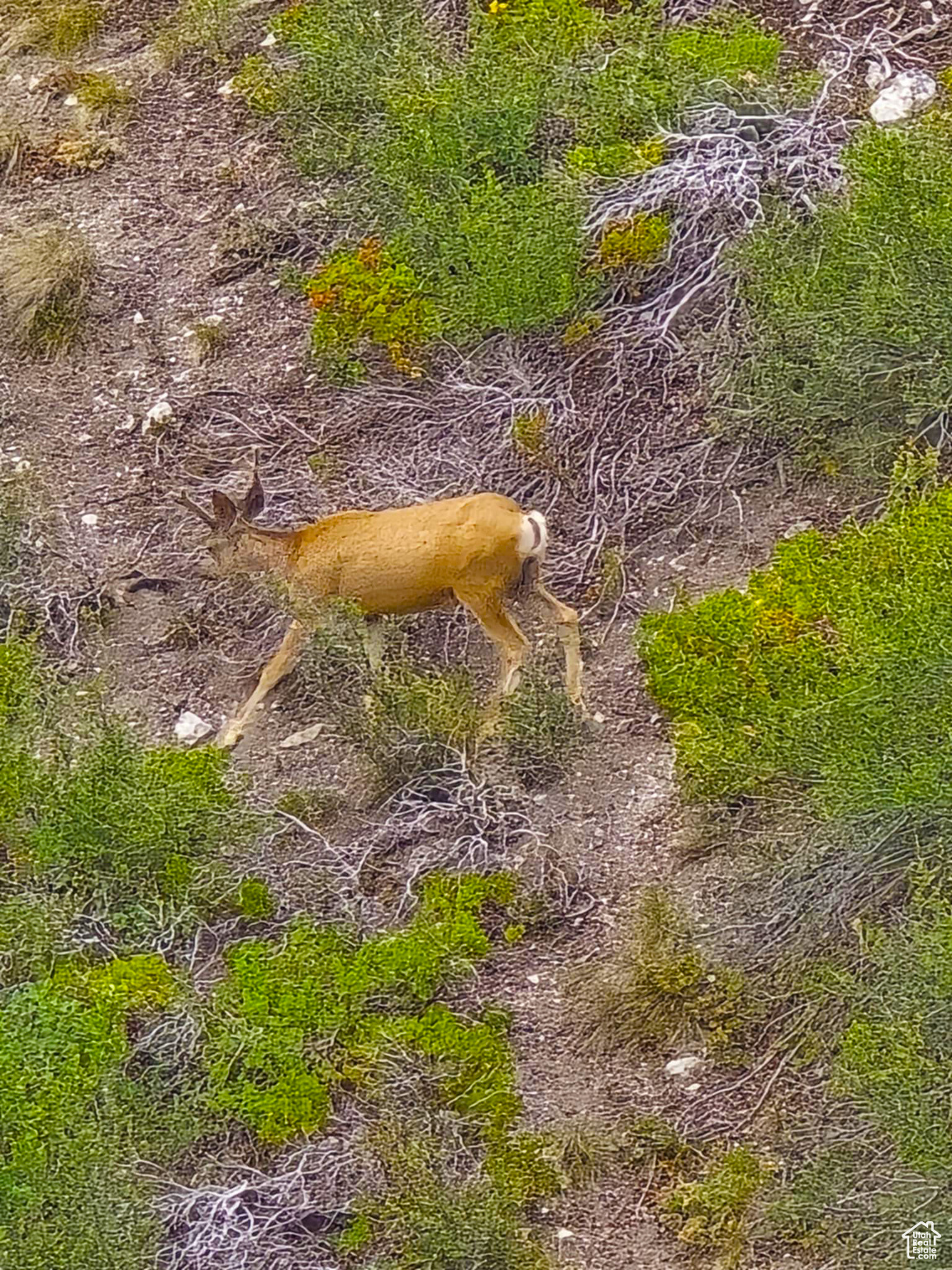 HIDEAWAY VALLEY PLAT D - Land