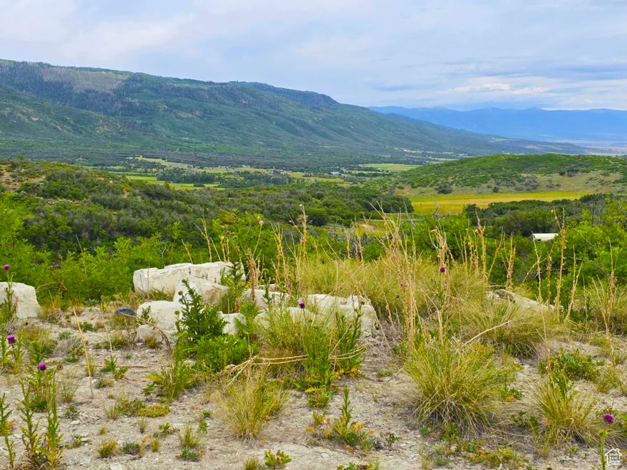 Motivated Sellers  Submit Your Offer Today! Don't miss out on this incredible opportunity to own 9.68 acres of natural beauty with sweeping, serene views of the valley. This unique property offers a peaceful escape and is already equipped with a driveway, a 35x30 ft pad, and fire pit-perfect for setting up your tent or parking your camp trailer for an unforgettable outdoor experience. Summer access is easy, and for winter adventures, you'll need a UTV or snowmobile to enjoy the snowy landscape. The land is full of character and potential, ideal for building your future cabin retreat. There's plenty of trails to bring your trailers and outdoor toys-just enjoy respectfully. Wildlife lovers will especially appreciate the frequent visits from local deer that roam the area freely. Whether for recreation, relaxation, or a future build, this property has everything you need to create lasting memories. Google map coordinates; https://maps.app.goo.gl/rf34Z1o19WvYuXXo7 or  39.761011, -111.433189