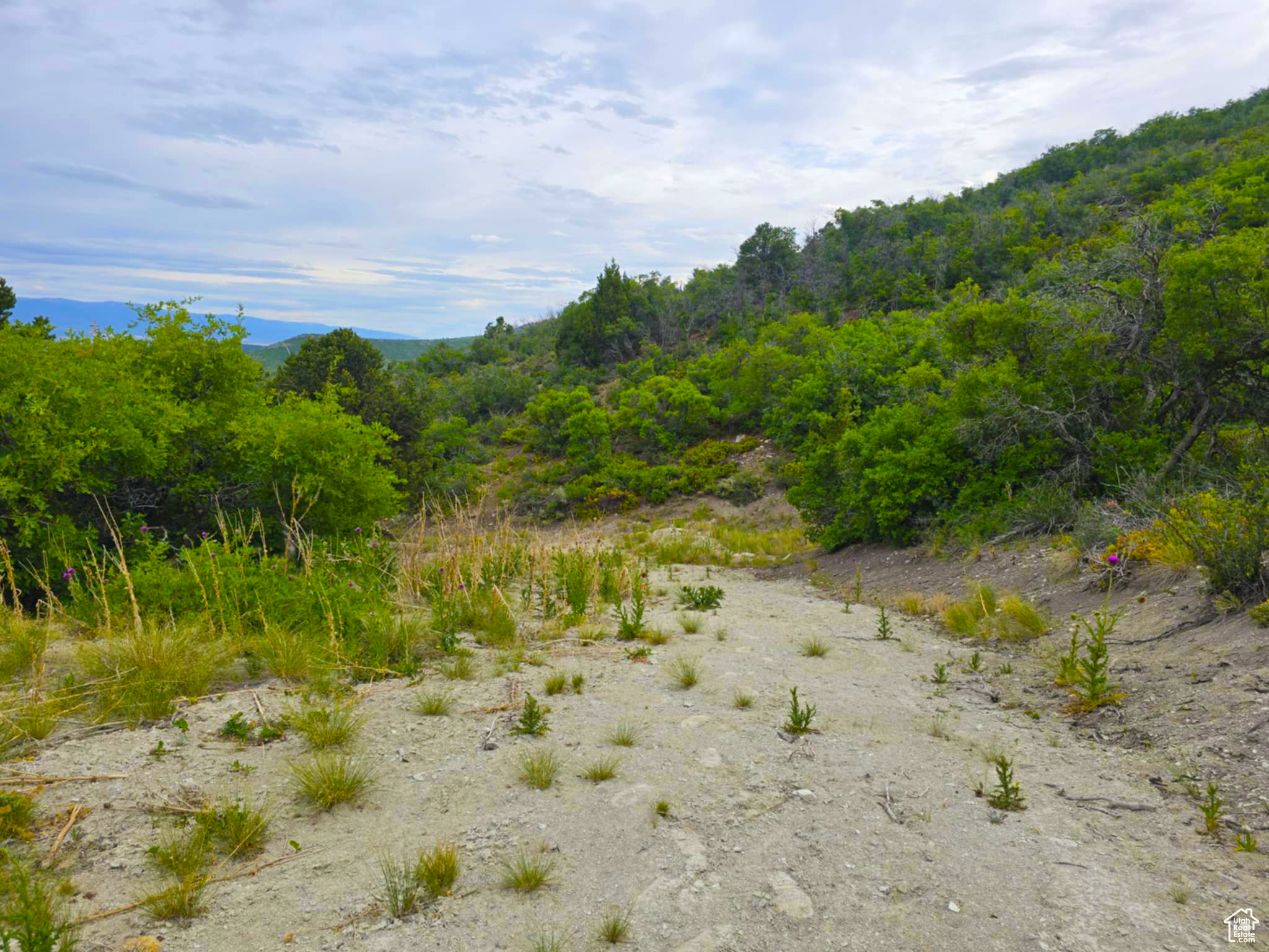 HIDEAWAY VALLEY PLAT D - Land