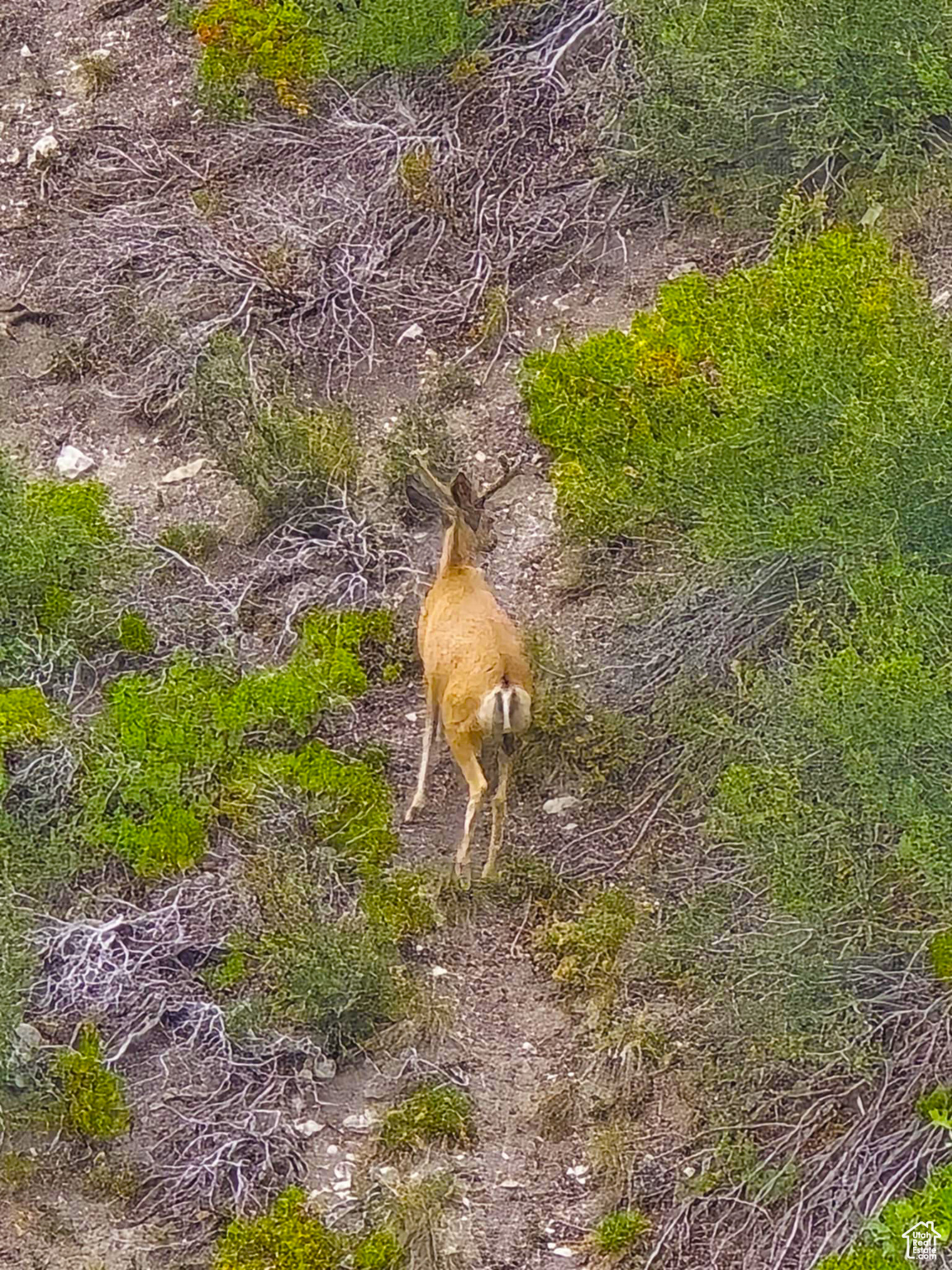 HIDEAWAY VALLEY PLAT D - Land