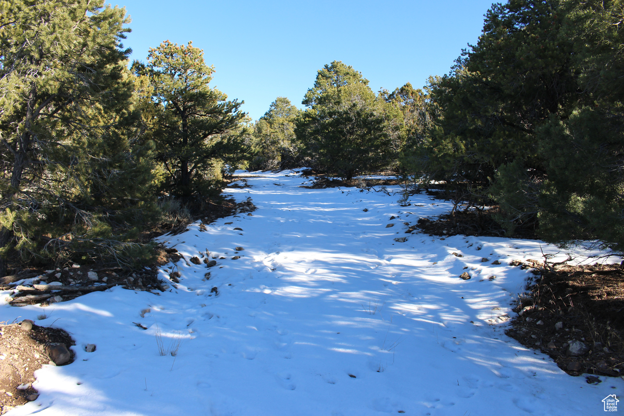 1 W Jack Rabbit Mtn, Paragonah, Utah image 31