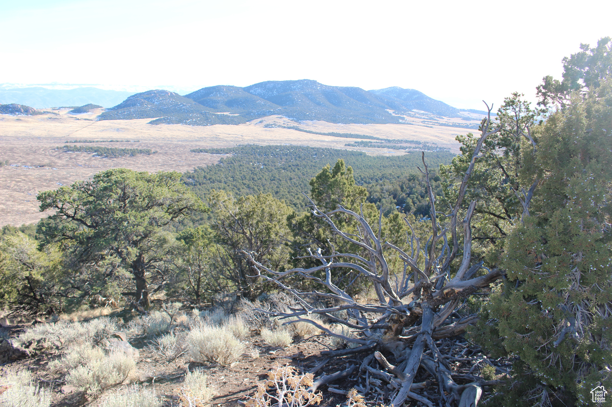 1 W Jack Rabbit Mtn, Paragonah, Utah image 16