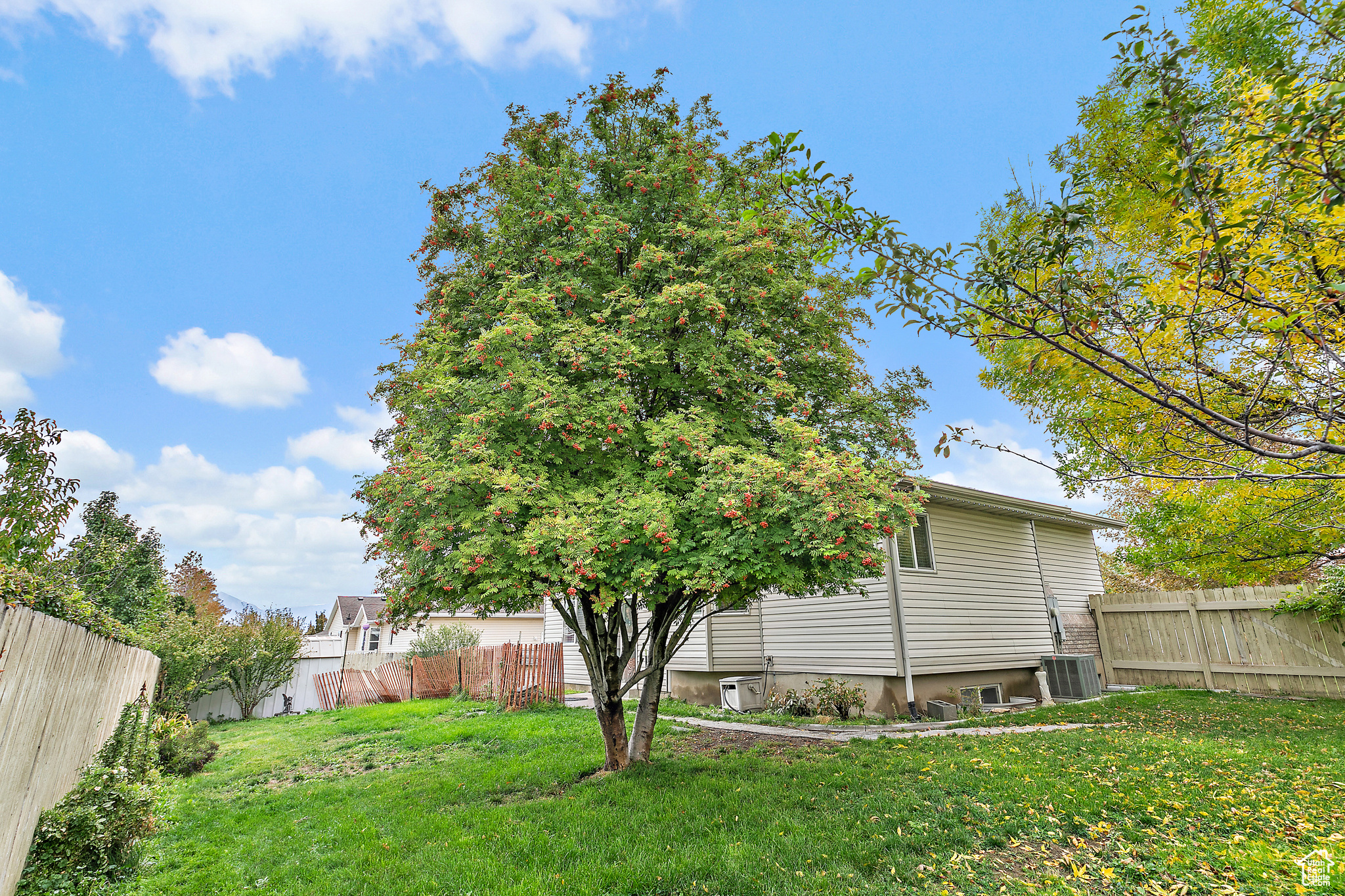 PINES - Residential