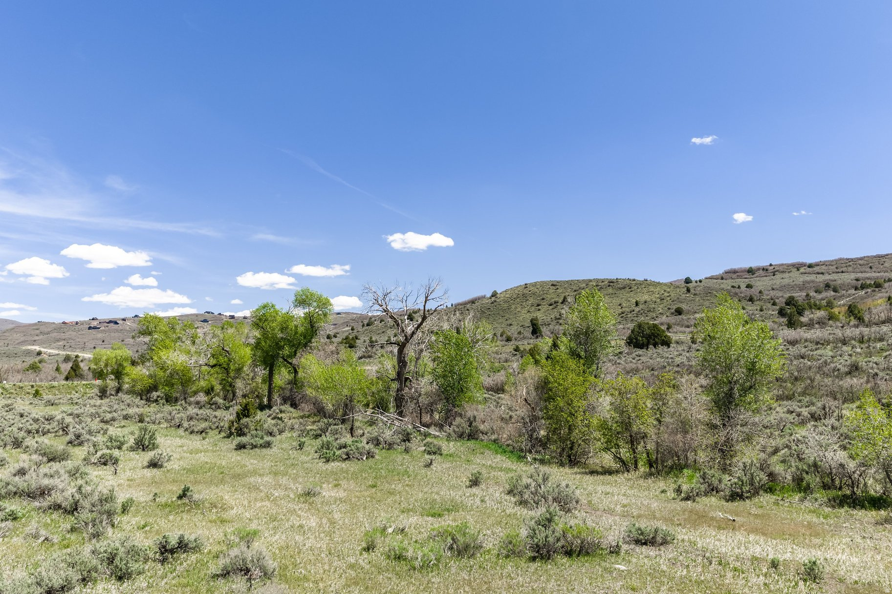 BLUE SAGE RANCH - Land