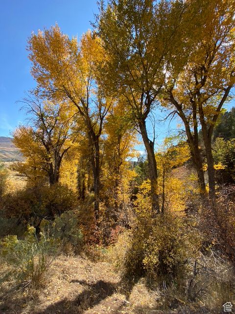 Tiny photo for 14272 S U S HWY 89 Hwy, Birdseye, UT 84629 (MLS # 2105194)