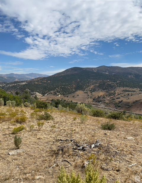 Tiny photo for 14272 S U S HWY 89 Hwy, Birdseye, UT 84629 (MLS # 2105194)