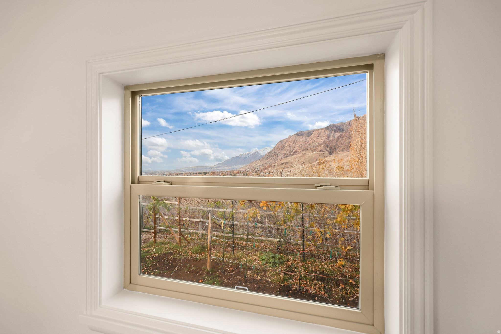 OLYMPUS HEIGHTS SUBDIVISION - Residential