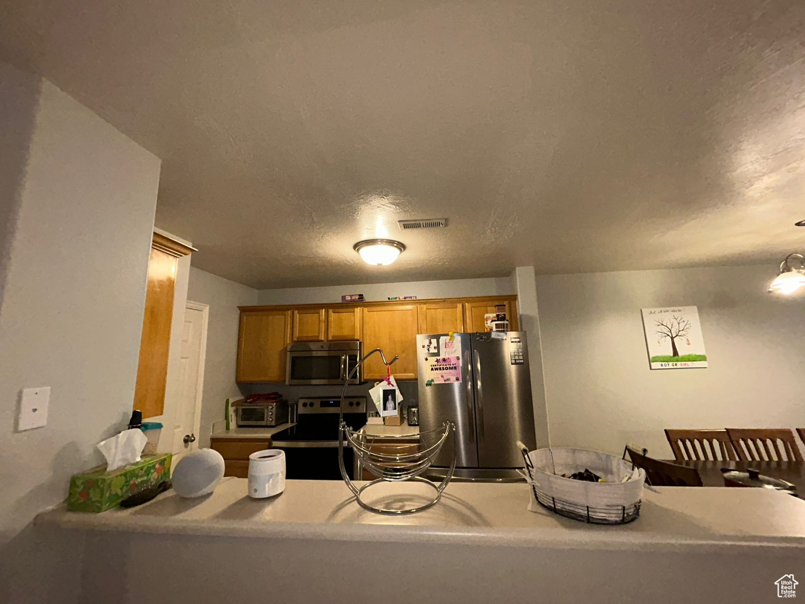 3878 W Sage Willow Dr, South Jordan, Utah image 42