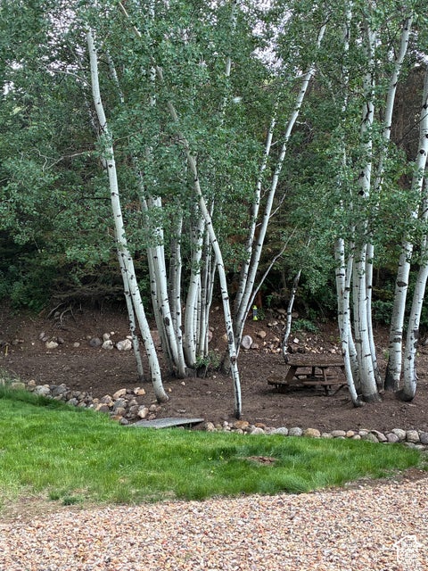 Tiny photo for 5454 E MOREHOUSE LN, Kamas, UT 84036 (MLS # 2193041)
