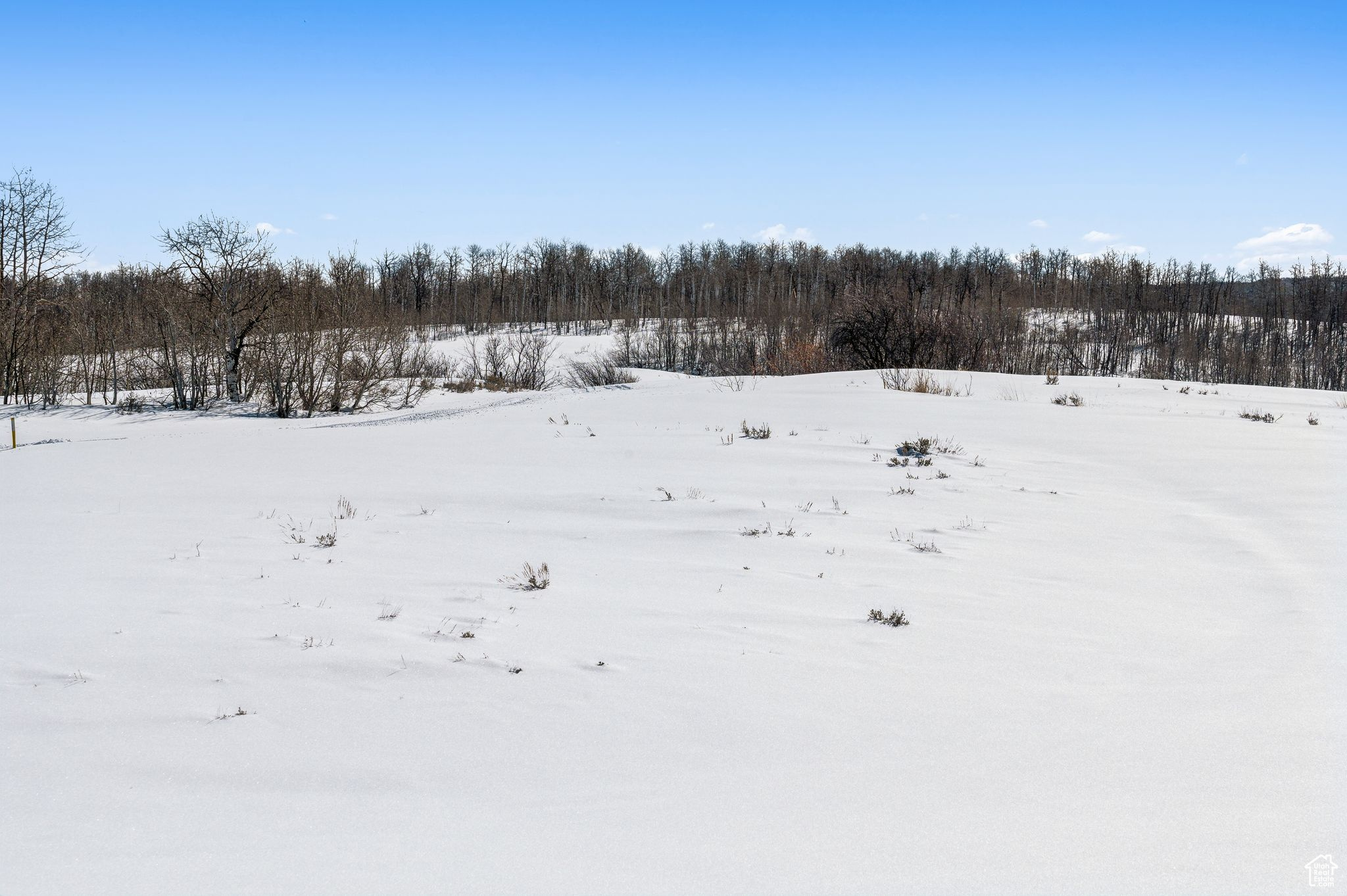 WOLF CREEK - Land