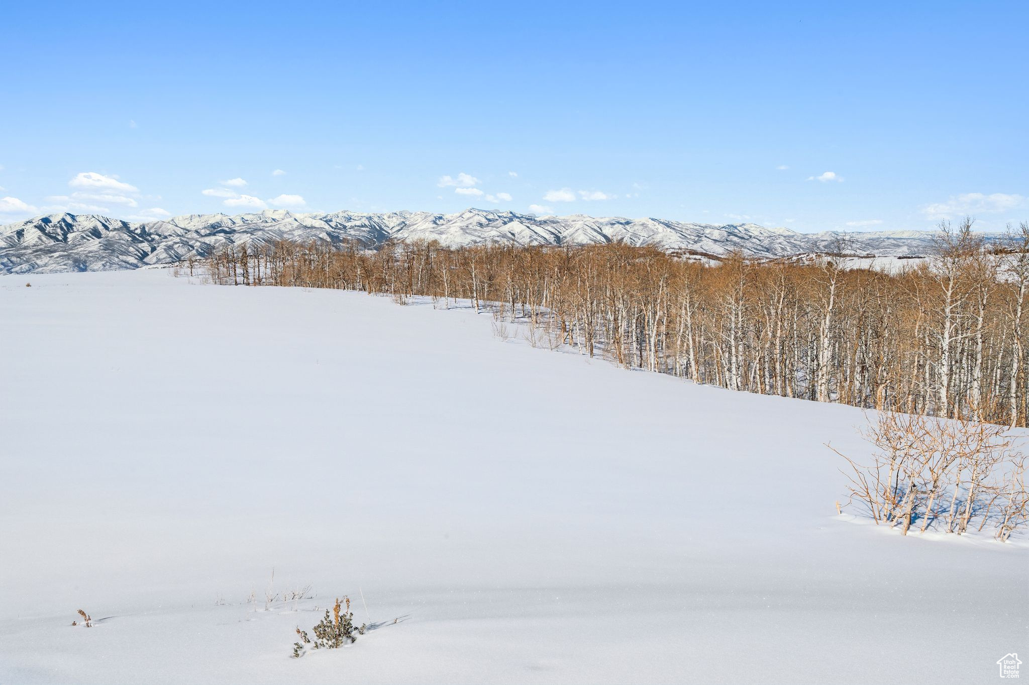 WOLF CREEK - Land