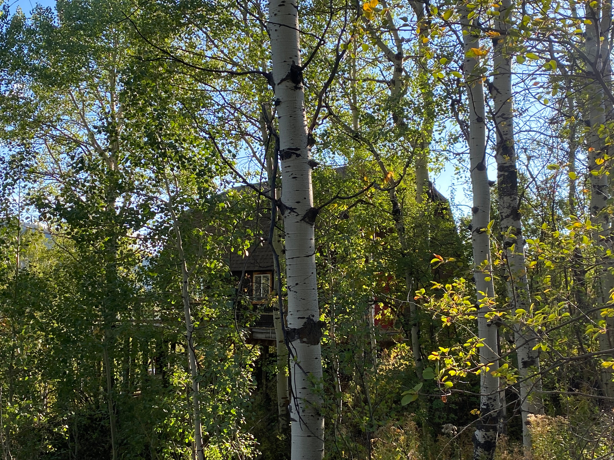 BEAVER SPRINGS RANCH - Residential