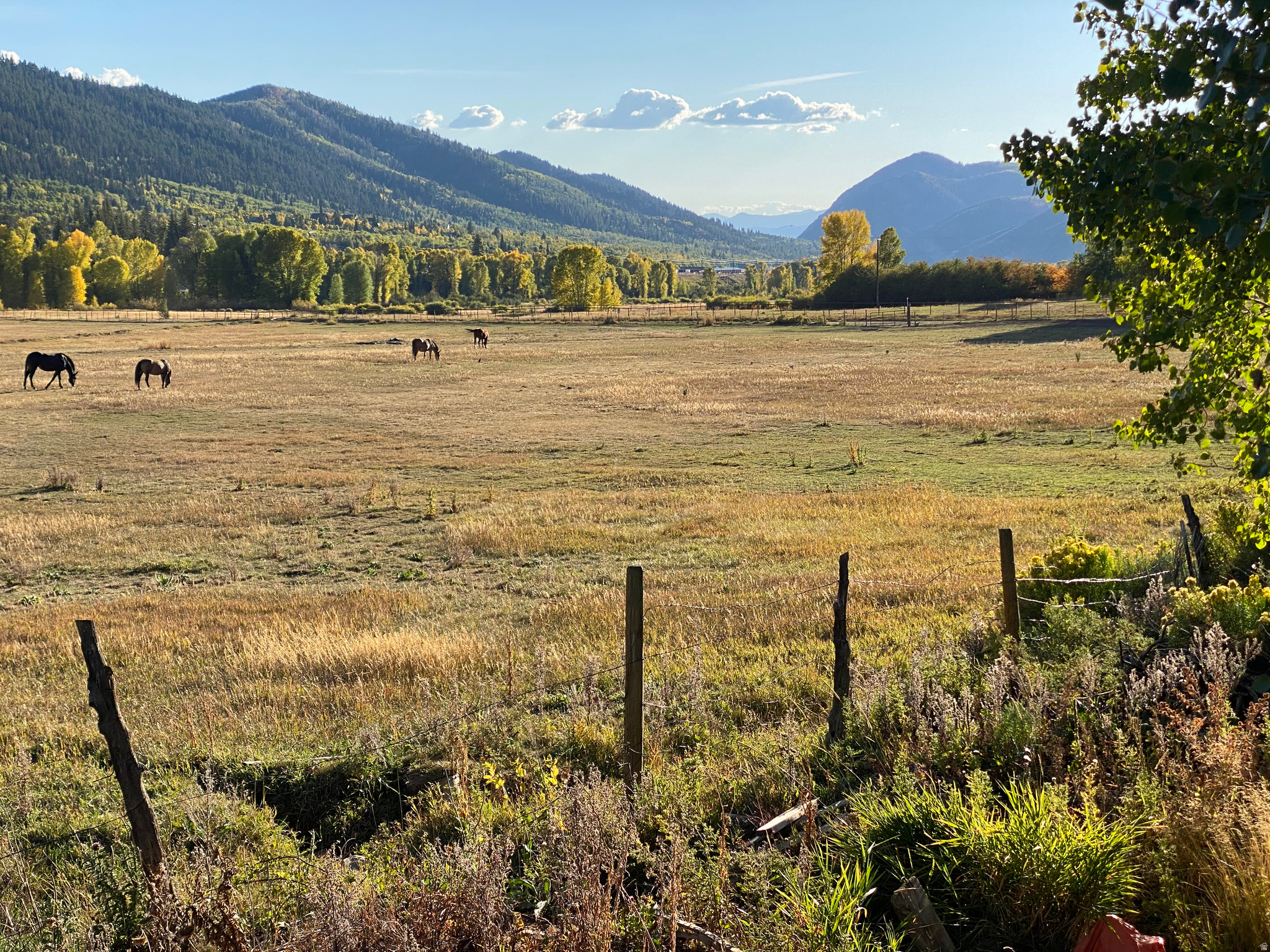 BEAVER SPRINGS RANCH - Residential