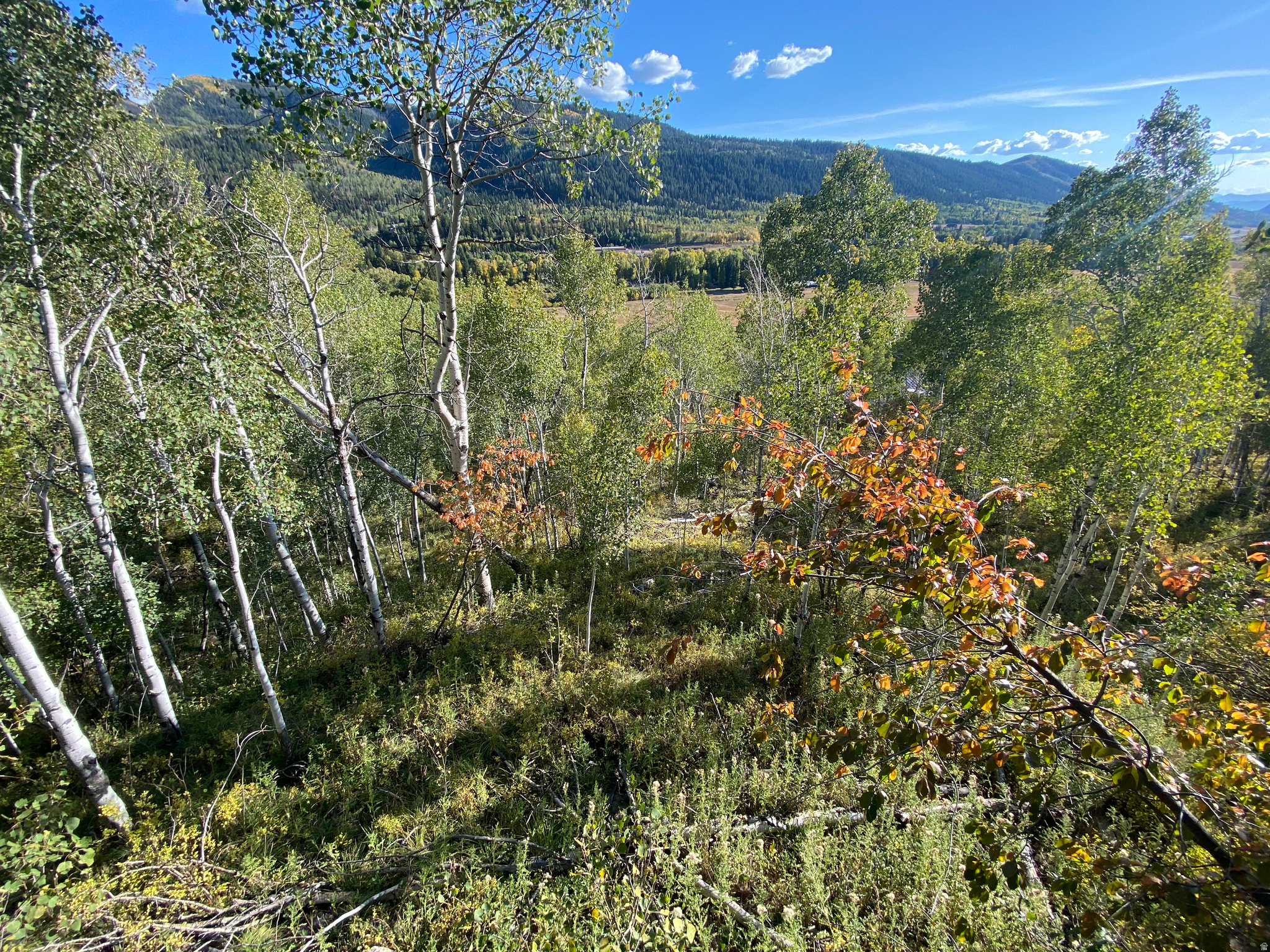 BEAVER SPRINGS RANCH - Residential
