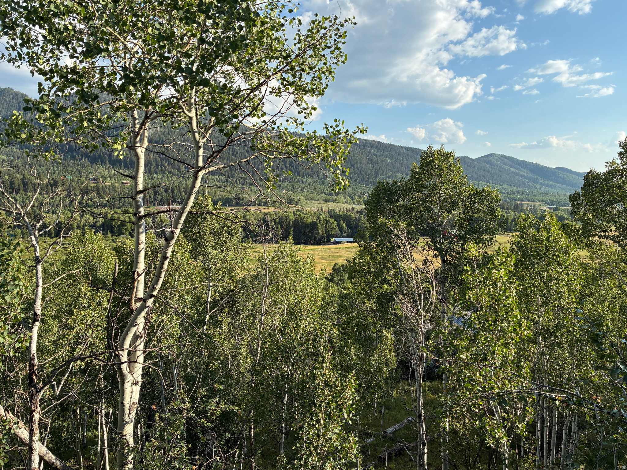 BEAVER SPRINGS RANCH - Residential