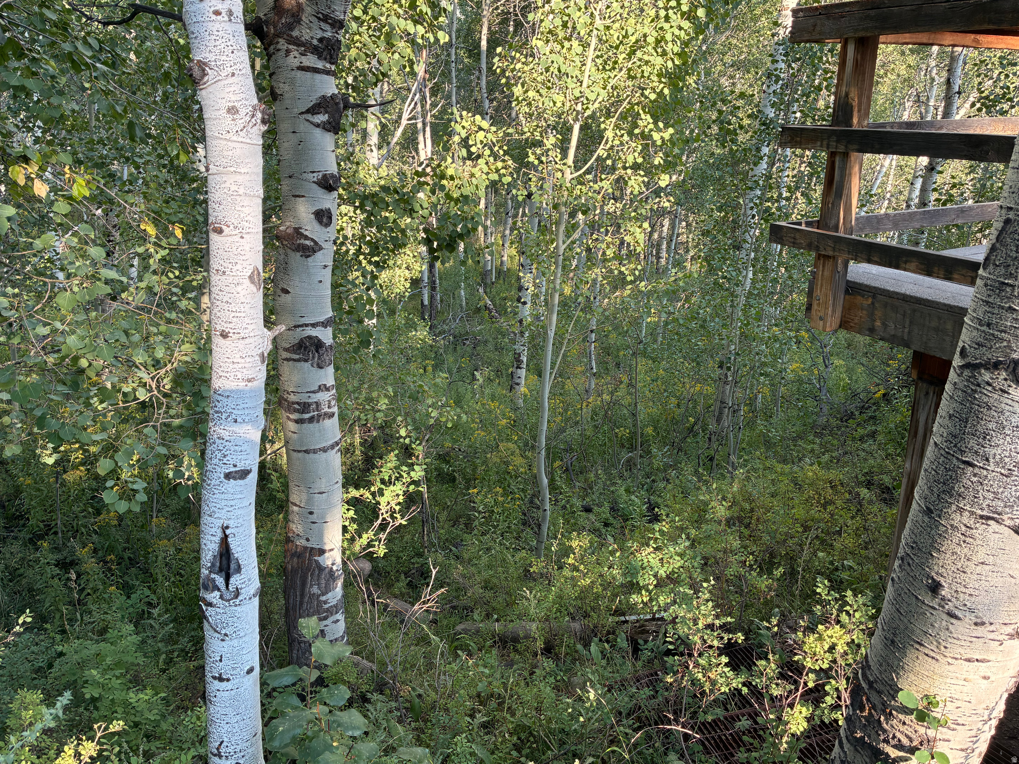 BEAVER SPRINGS RANCH - Residential