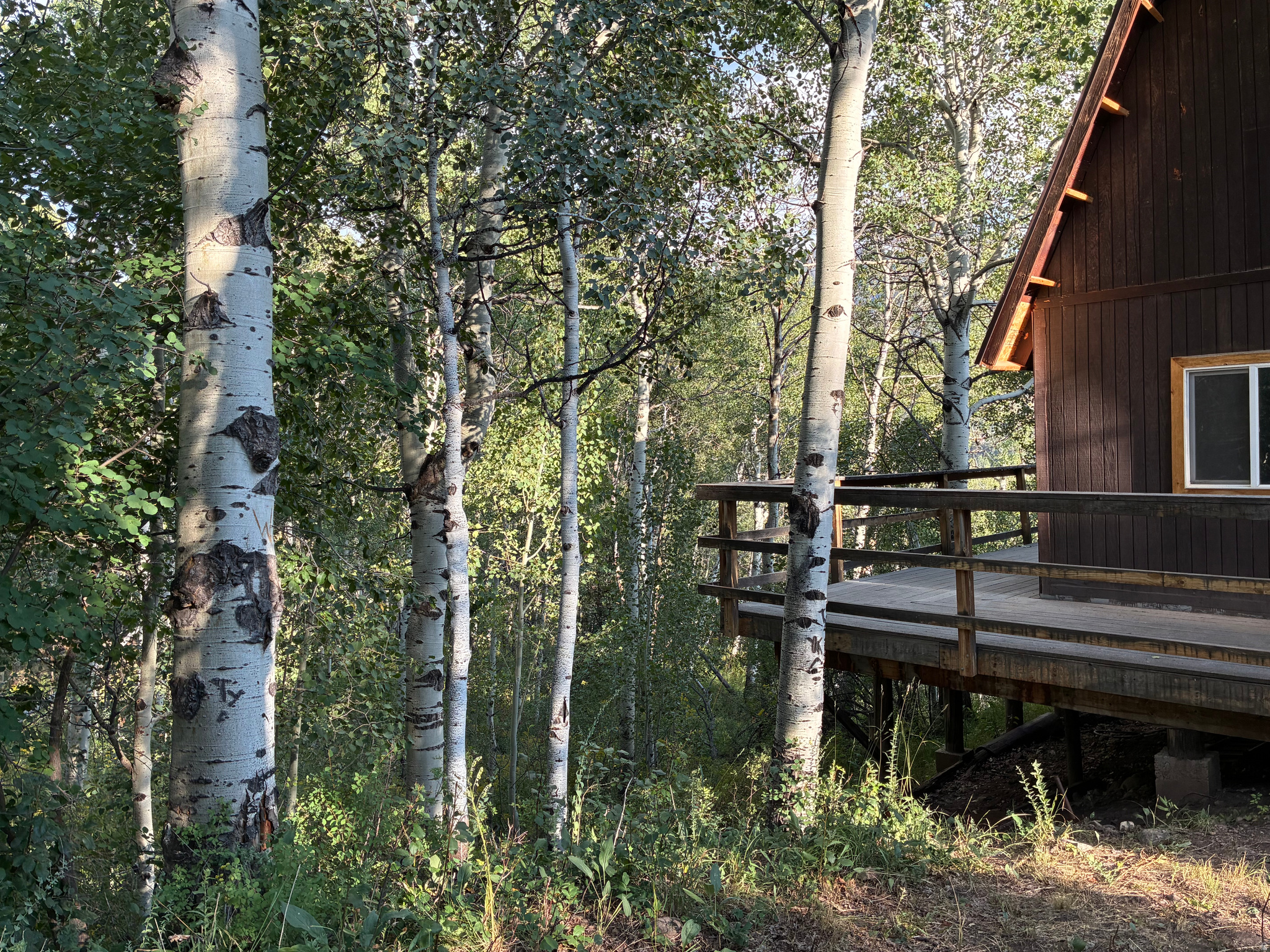 BEAVER SPRINGS RANCH - Residential
