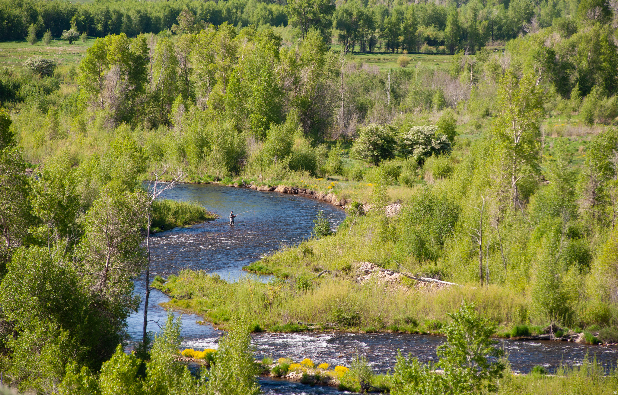 BLACK ROCK RIDGE - Residential