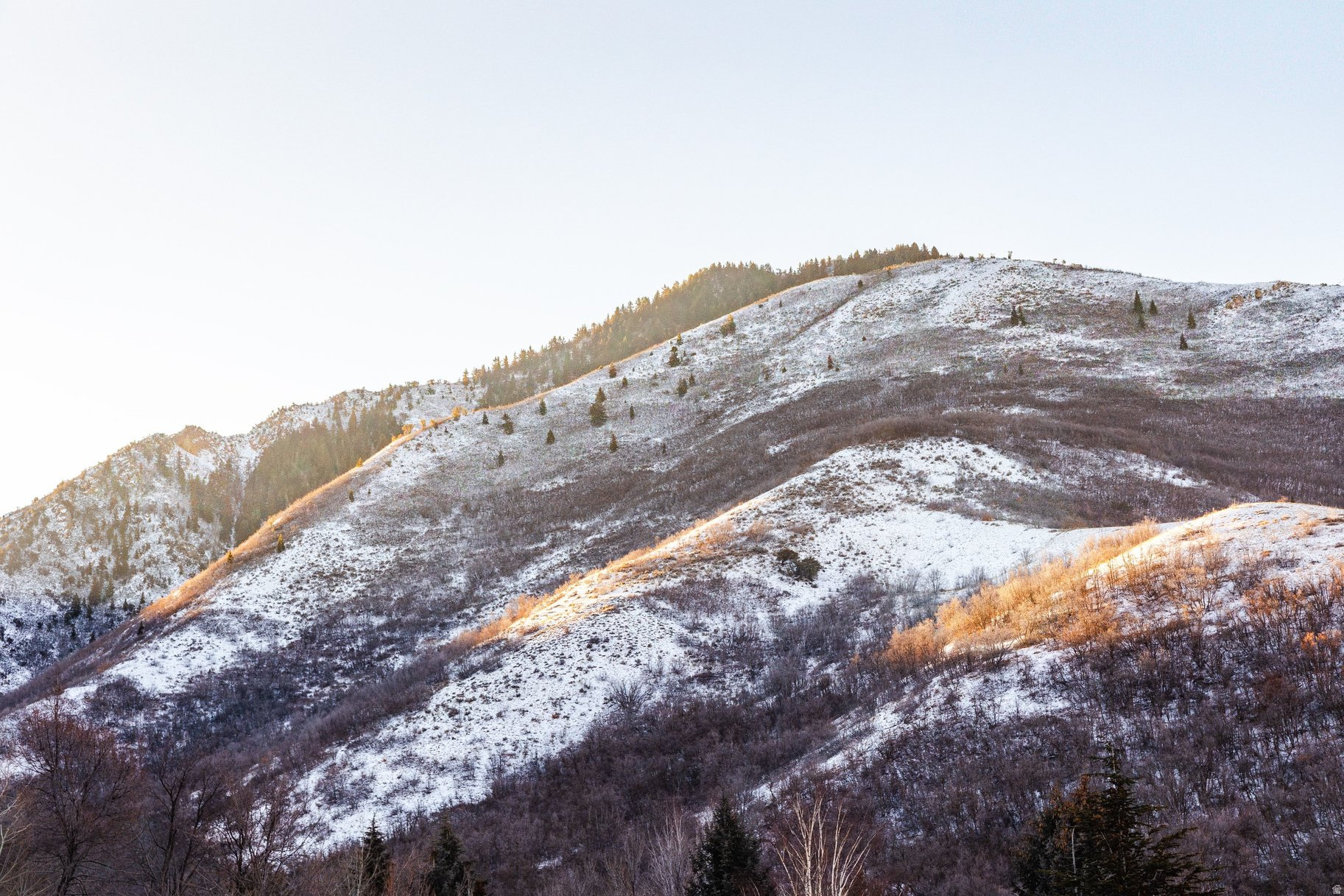 EMIGRATION PLACE - Land