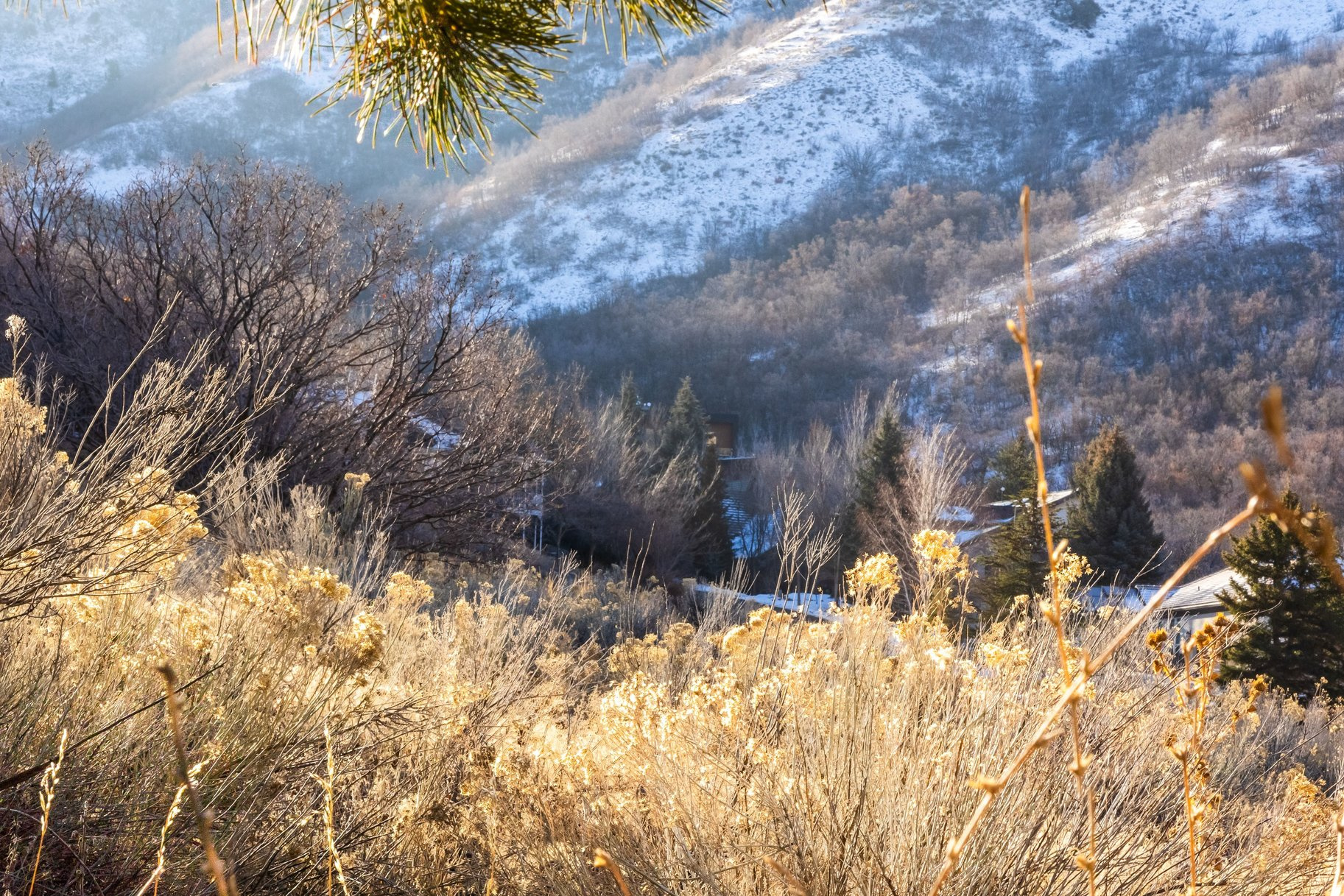 EMIGRATION PLACE - Land