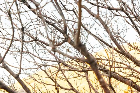 Tiny photo for 310 S MARYFIELD DR #307, Salt Lake City, UT 84108 (MLS # 2132474)