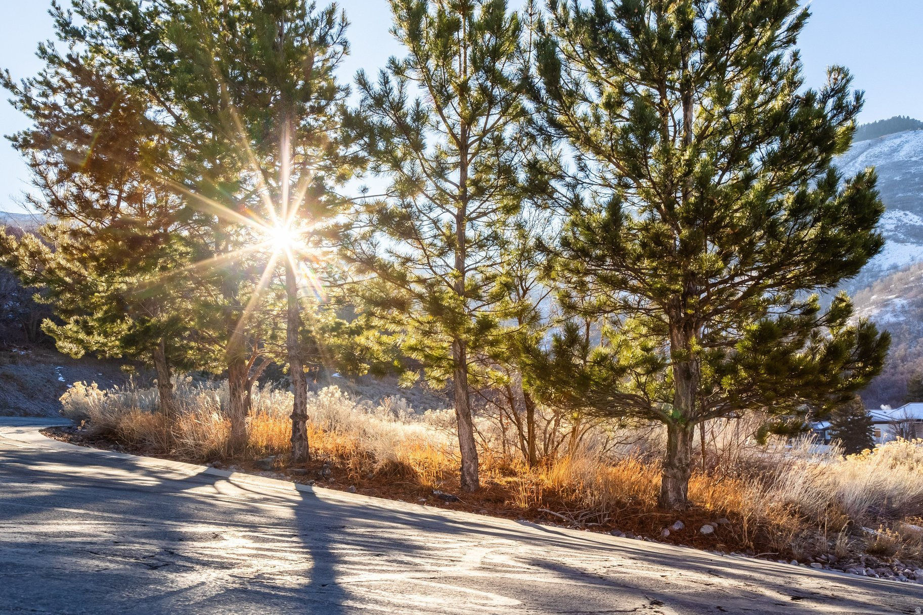 EMIGRATION PLACE - Land